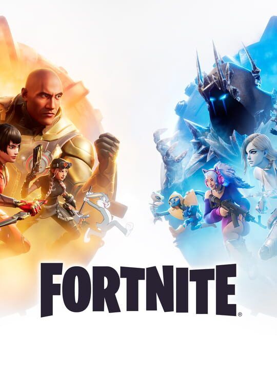 Fortnite cover
