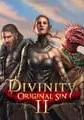 Divinity: Original Sin II small cover