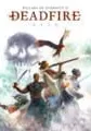 Pillars of Eternity II: Deadfire small cover
