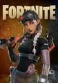 Fortnite small cover