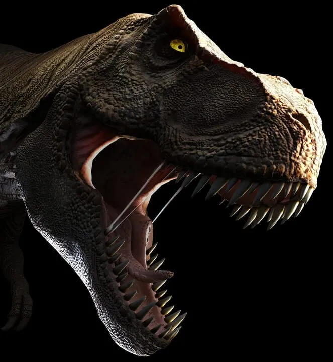 Tomb Raider: Anniversary artwork 1194