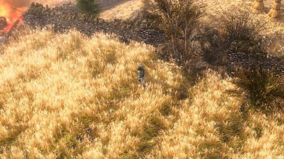 Grim Dawn screenshot 2068