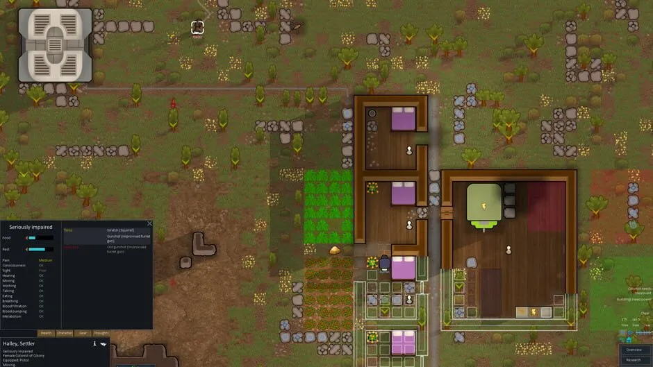 RimWorld screenshot 95861