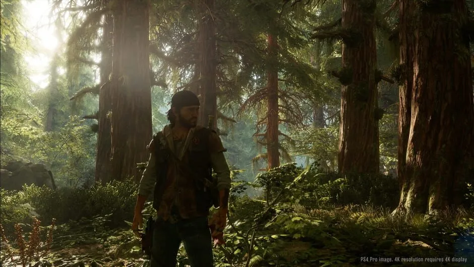 Days Gone screenshot 44402
