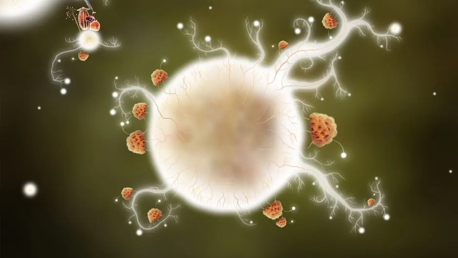 Botanicula screenshot 5272