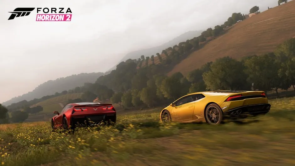 Forza Horizon 2 screenshot 5662