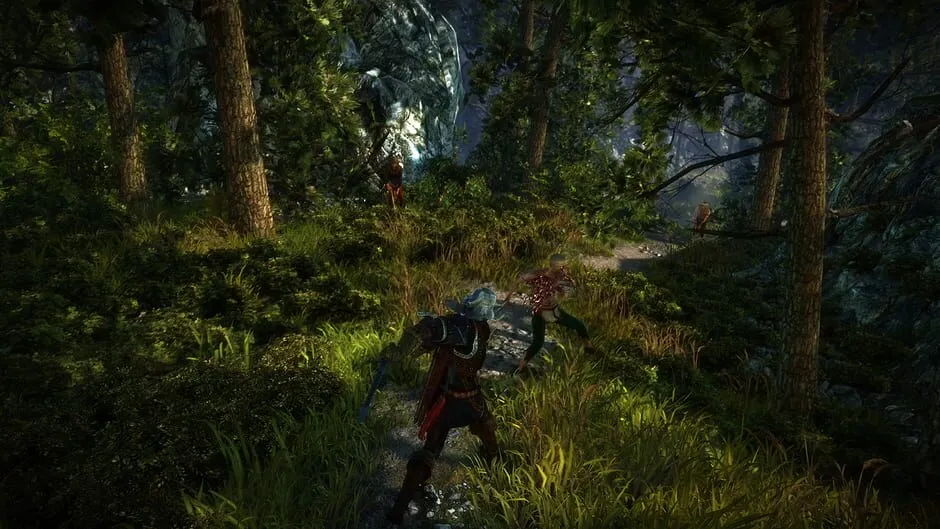 The Witcher 2: Assassins of Kings screenshot 6520