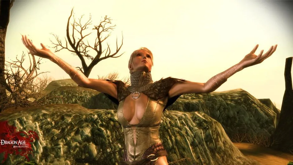 Dragon Age: Origins - Awakening screenshot 9965