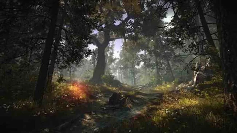 The Witcher 2: Assassins of Kings - Enhanced Edition screenshot 29004