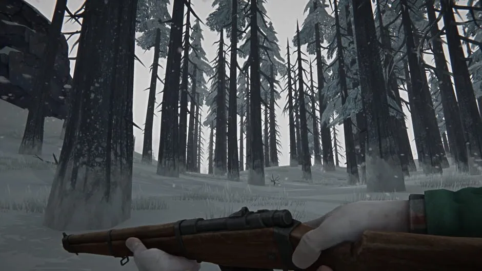 The Long Dark screenshot 400349
