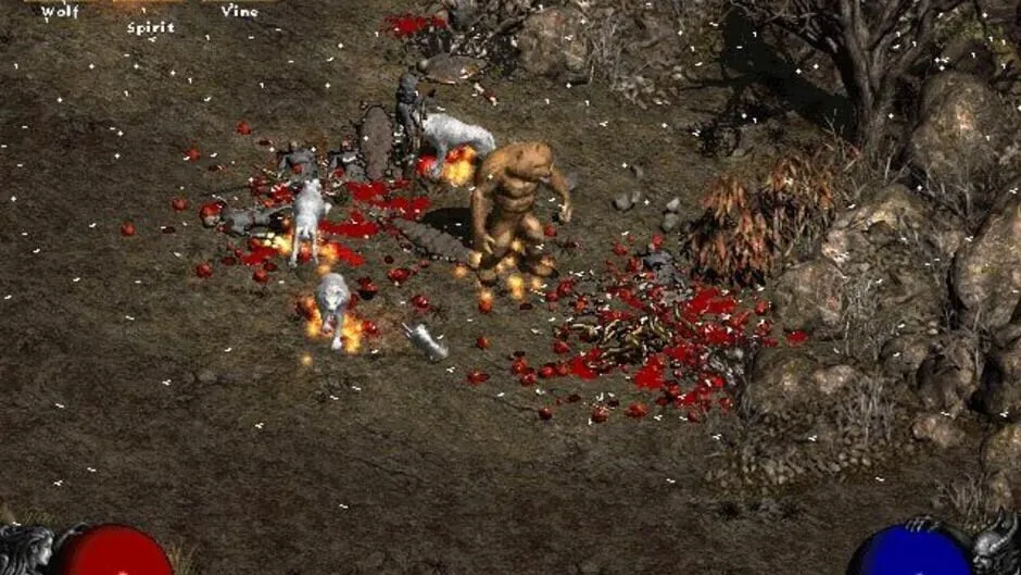 Diablo II screenshot 907906