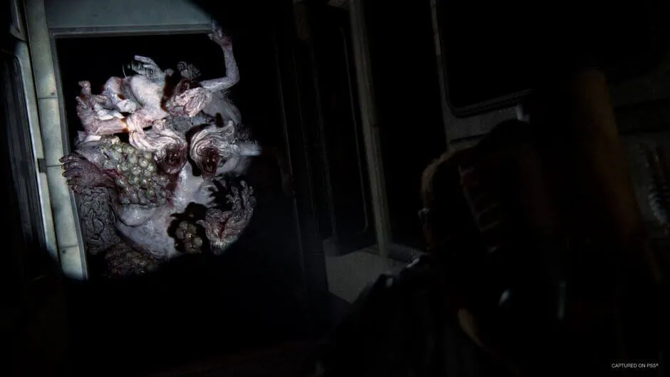 The Last of Us Part II Remastered screenshot 1192952