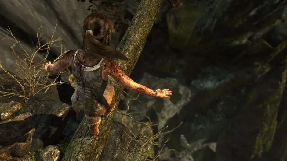 Tomb Raider: Definitive Edition screenshot 140758