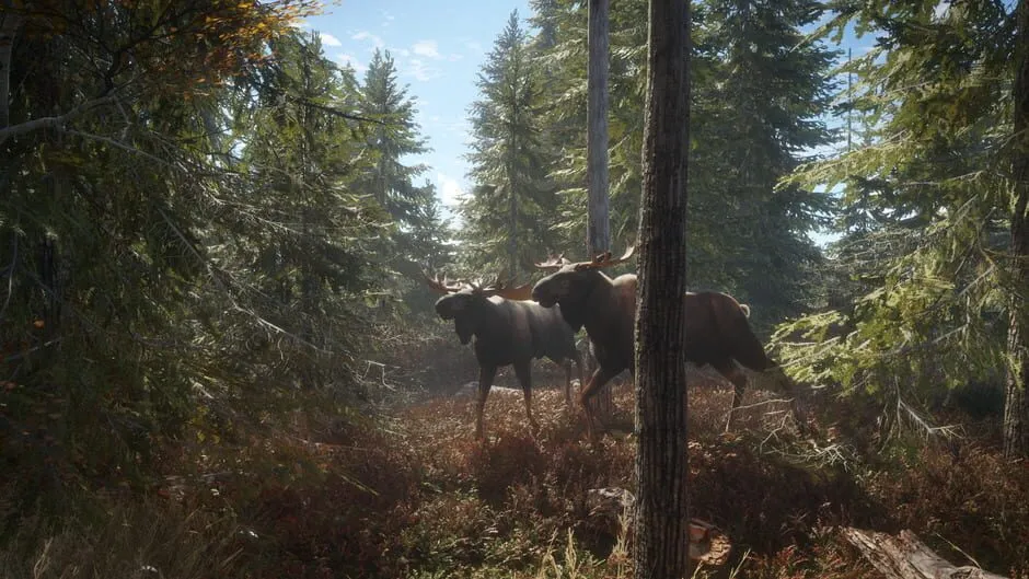 TheHunter: Call of the Wild screenshot 211361