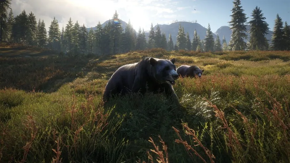 TheHunter: Call of the Wild screenshot 211362