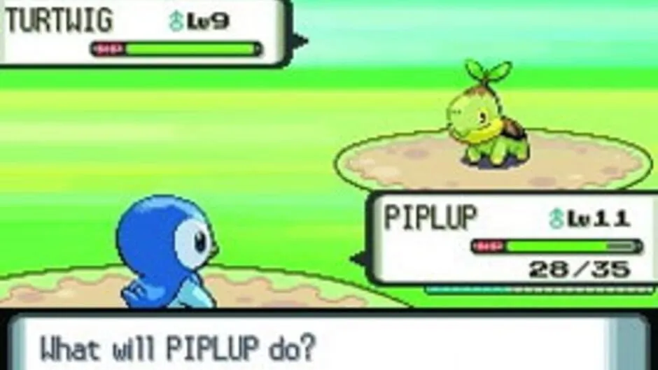 Pokémon Diamond Version screenshot 24136