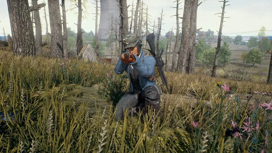 PUBG: Battlegrounds screenshot 38069
