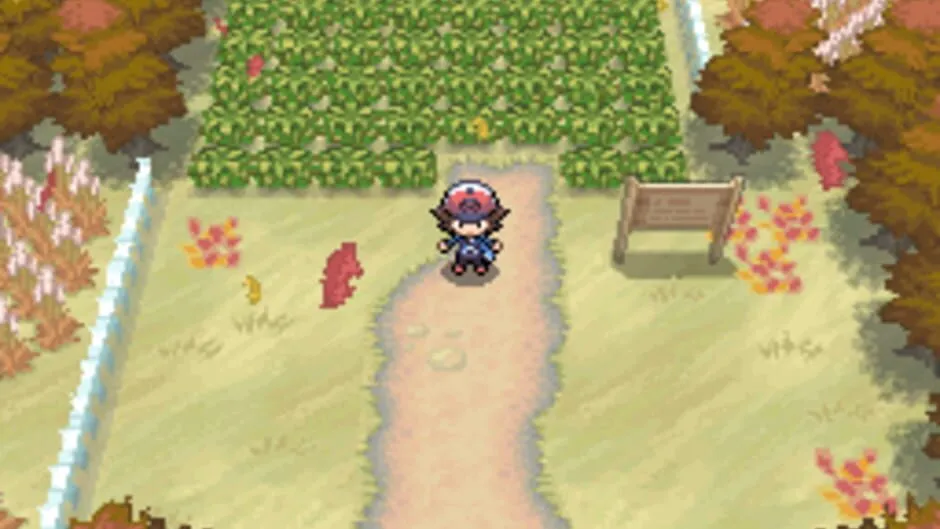 Pokémon Black Version screenshot 169262