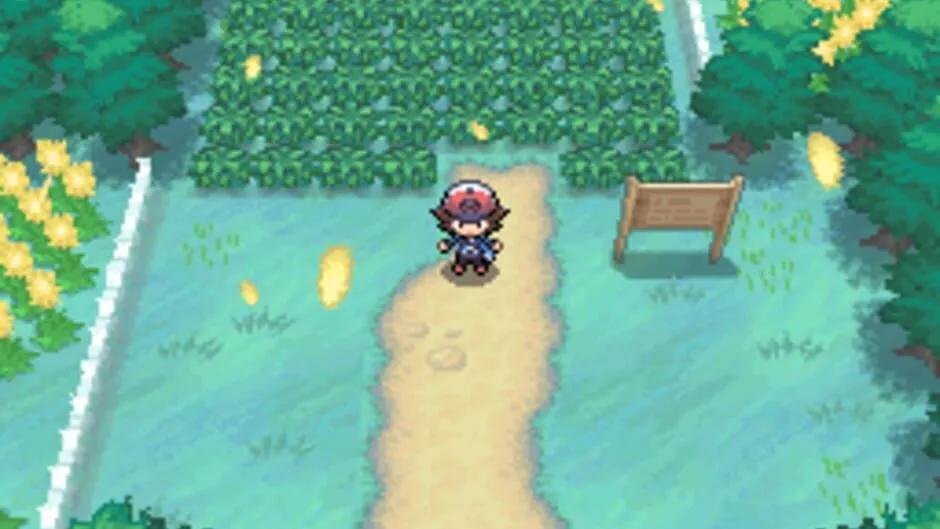 Pokémon Black Version screenshot 169261