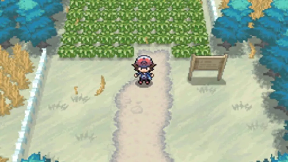 Pokémon Black Version screenshot 169259