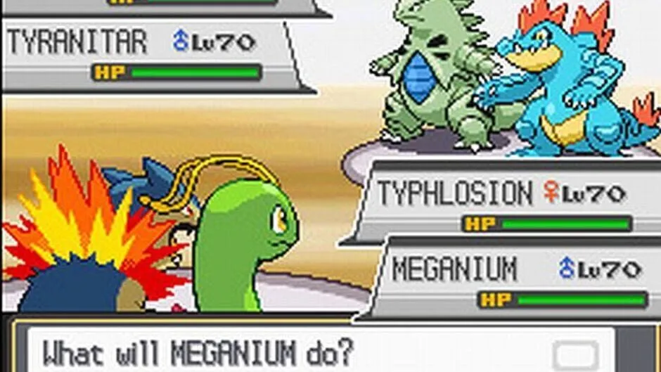Pokémon HeartGold Version screenshot 31700